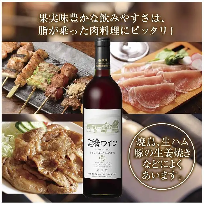 越後ワイン 赤 750ml 2本セット アグリコア  越後ワイナリー  新潟県産 ぶどう100%使用  辛口 ミディアムボディ アルコール12% 国産ワイン 魚沼ワイン 送料無料 新潟県 南魚沼市