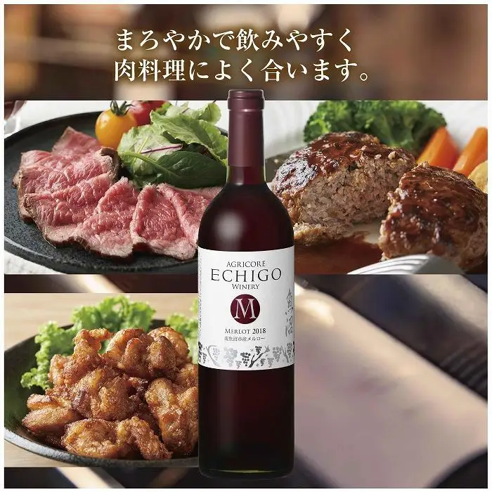 越後ワイン メルロー 赤 750ml 2本セット アグリコア  越後ワイナリー  南魚沼市産メルロー使用 辛口 ミディアムボディ 度数12% 国産ワイン 魚沼ワイン わいん 送料無料 新潟県 南魚沼市