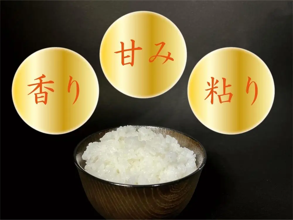 【令和8年 新米】【南魚沼産】コシヒカリ 白米10kg｜コシヒカリ
