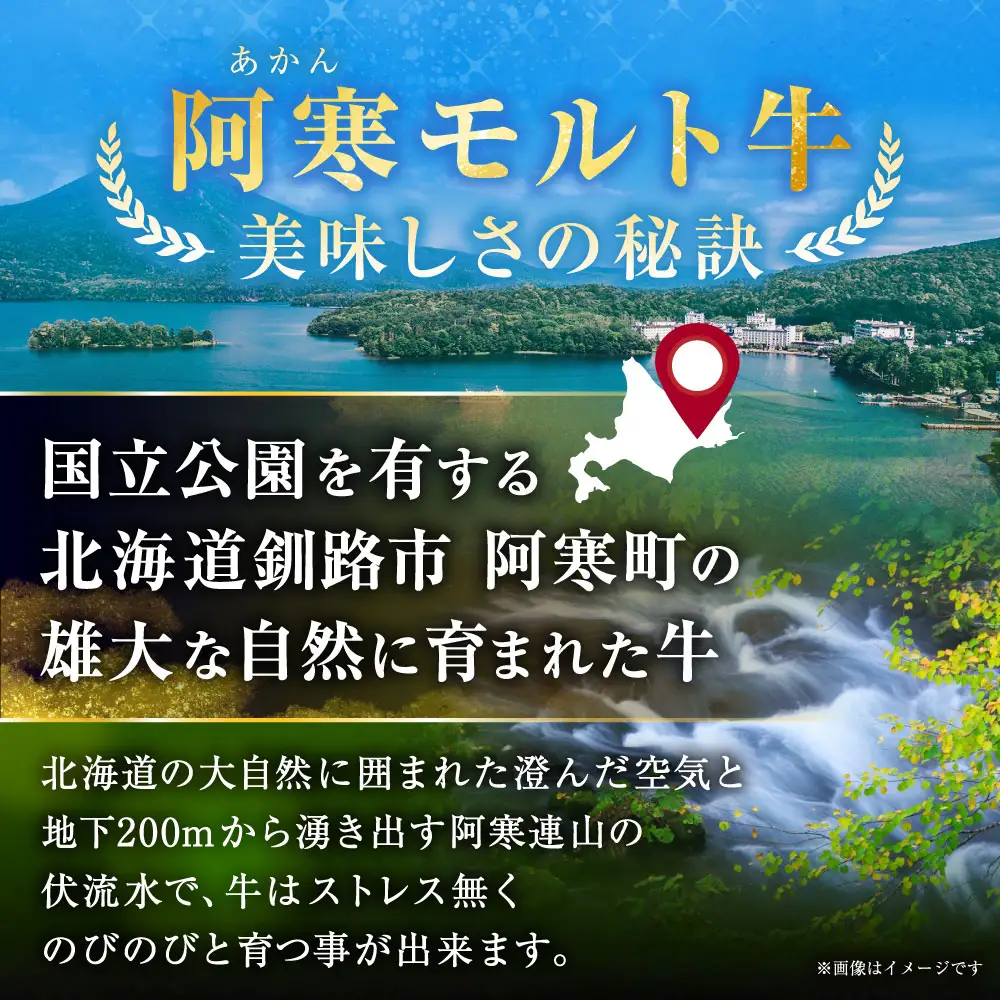 【これぞ北海道産 極上赤身肉】阿寒モルト牛サーロインステーキB 約200g×5枚 ふるさと納税 肉