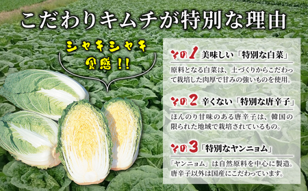 信州望月高原のキムチ３種頒布会（３回コース）国産キムチ 白菜キムチ 発酵食品 漬物 信州キムチ 定期便 自家製キムチ 国産キムチ
