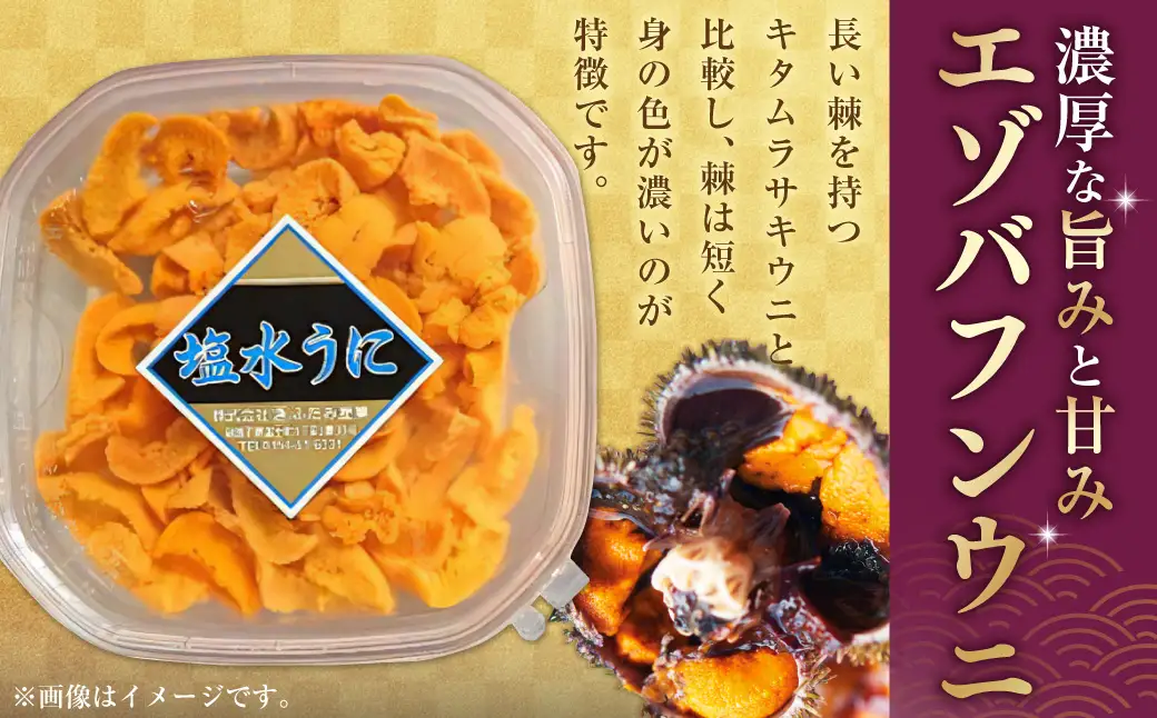 【鮮度抜群！特選・極上えぞバフンうに【黄】】塩水詰め100g×2個 ふるさと納税 うに F4F-0467