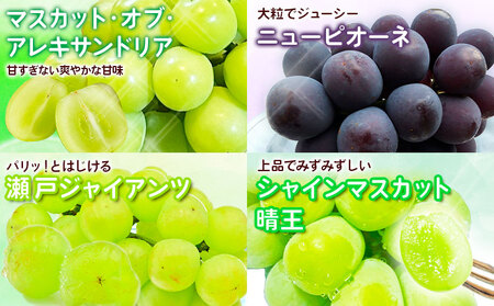 【先行予約】フルーツ定期便 全5回コース 桃 マスカット 梨 【配送不可地域あり】
