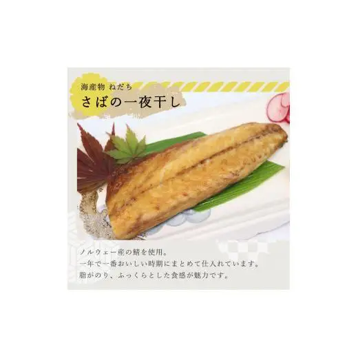 ねだち　自家製一夜干し詰合せ