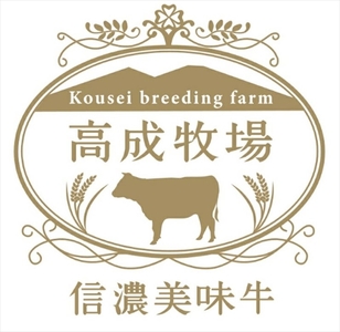 【信濃美味牛】贅沢カット！　サーロインステーキカット　200g×2　計４００ｇ【 肉 牛肉 信濃美味牛 信州牛肉 長野県 佐久市 】