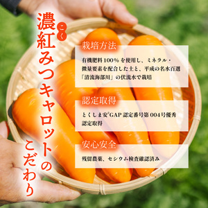 濃紅みつキャロットカレー 10食 人参 にんじん カレー