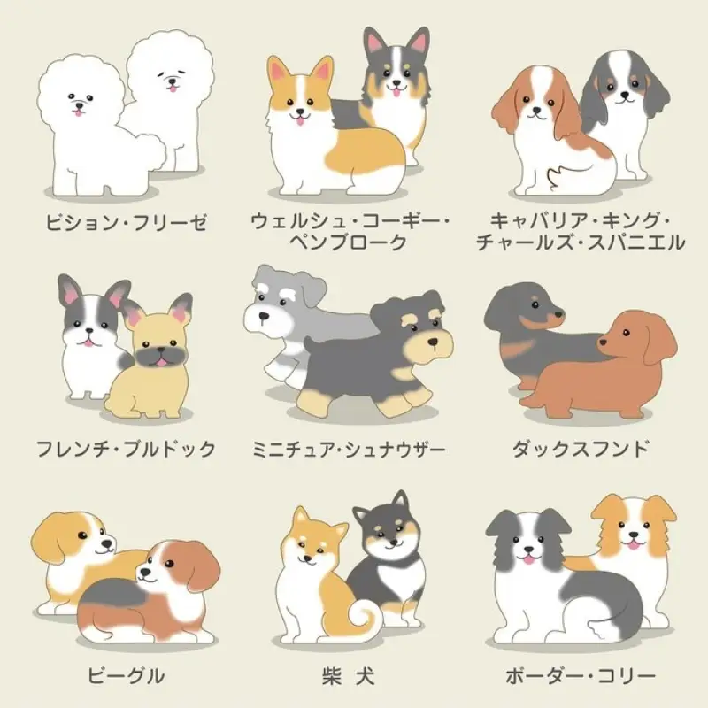 No.2818いぬつむ