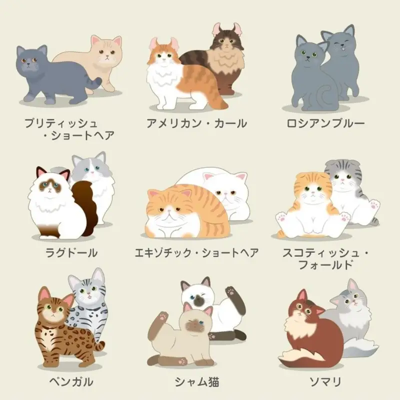No.2819ねこつむ