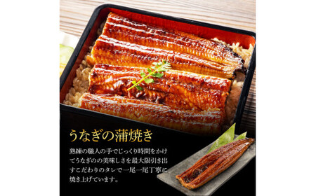 うなぎ蒲焼き 1尾 + 藁焼き(白焼き)1尾 2尾セット 1尾約140g タレ付き 