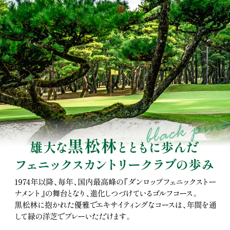 ゴルフ チケット ゴルフ [翌月発券 平日2名様]