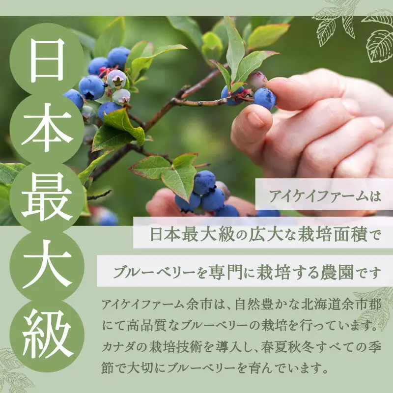 アイケイファーム余市 ブルーベリーコンポート  【余市のブルーベリー】余市のジャム 余市のコンポート  北海道のジャム 北海道のコンポート アイケイファームのブルーベリー アイケイファームのジャム アイケイファームのコンポート_Y111-0001