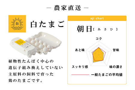 【9ヵ月定期便】ココテラスの朝日（白たまご）35個 + 5個保証（計40個）【JGAP認証】 農家直送 新鮮 卵 タマゴ 白卵 玉子 鶏卵 朝食 夕食 夜食 朝ごはん たまご焼き だし巻き卵 オムレツ 卵ご飯 料理 濃厚 飼料にこだわった 卵かけご飯 米たまご 生卵 大容量 お取り寄せ 愛知県 常滑市