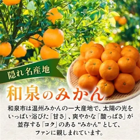 隠れ名産地　蔵出し熟成和泉みかん(中玉・大玉サイズミックス)5kg【1499001】