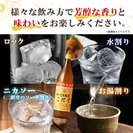 【毎月定期便】大分むぎ焼酎二階堂(20度(900ml)12本) 全12回_大分むぎ焼酎 二階堂 麦焼酎 焼酎 酒 酒セット 焼酎セット  まとめ買い 酒の定期便_【4007337】