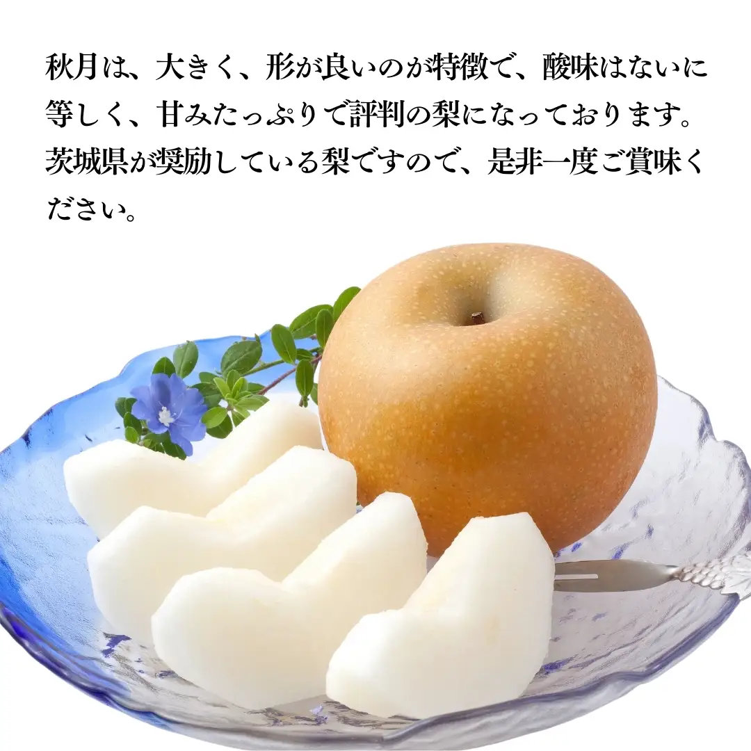 【 2026年 先行予約 】 厳選 2種！恵水 と 秋月 の 食べ比べセット 約3kg 5玉～7玉 【 茨城県共通返礼品 ／ 常陸太田市 】 桧山果樹園 フルーツ 甘い 直送 茨城 限定 ギフト 梨 旬 贈答 果物 [DU019sa]