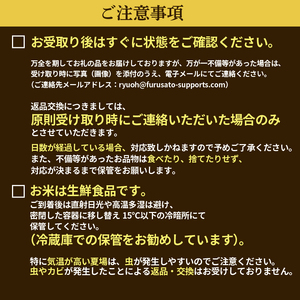 【 先行予約 】 令和8年産 きらみずき 5kg 定期便 6回 米