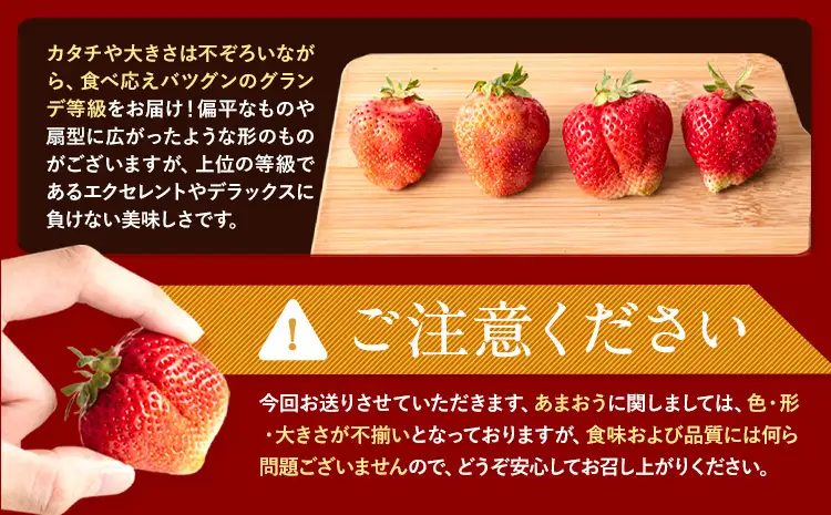 あまおう いちご 1000g【配送不可地域：離島】
