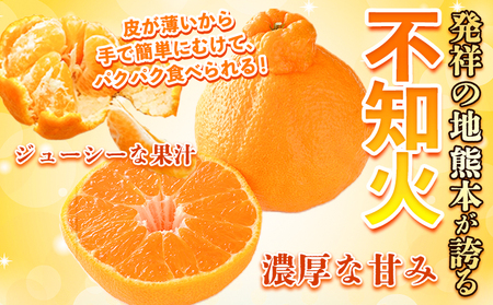 不知火 訳あり 5kg 不知火