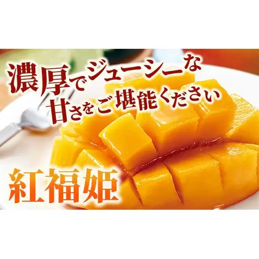 訳あり「紅福姫ブランド」石垣島のマンゴー 約2.4kg 　OT-02