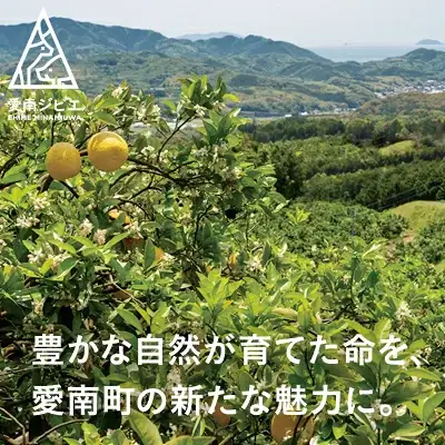 【ジビエ】鹿 ミンチ肉 1kg 鹿肉 ジビエ 愛南ジビエ