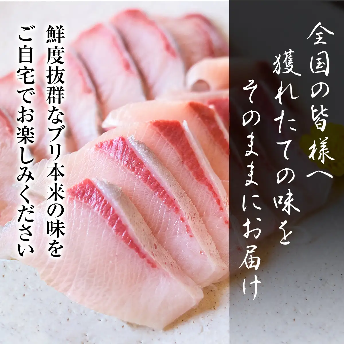 【お試しサイズ!】氷見天然ブリしゃぶしゃぶ用150g〈冷凍〉【寒ぶり】 ぶりしゃぶ 鰤 国産 天然 ブリ 富山県 氷見市  鰤 凍眠凍結製法 ブリ しゃぶしゃぶ用 スライス 天然 鰤 ぶりしゃぶ 鮮度抜群 ブリ 獲れたての味を しゃぶしゃぶ 