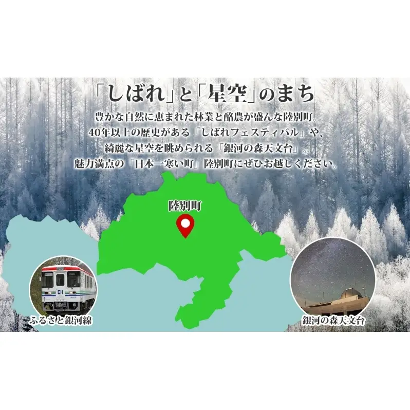 無地熨斗 北海道 GESELL工房 5種 ソーセージ セット ギフト ウインナー つまみ お酒のあて ビールのつまみ おかず 加工品 ソーセージ詰め合わせ 