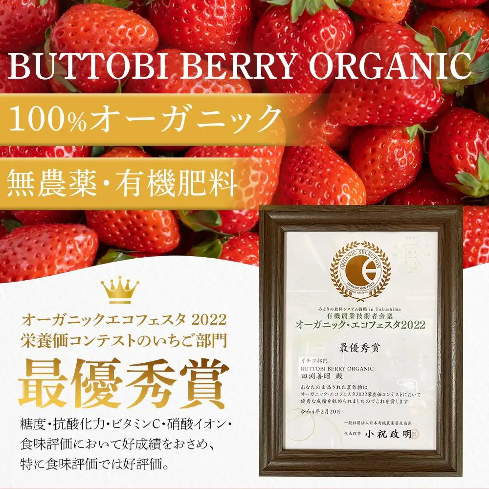 訳ありいちご とくしまオーガニックいちご（約700g）ご家庭用【2026年12月下旬から順次発送】