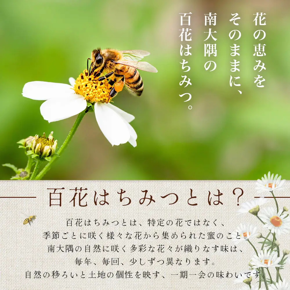 【数量限定】国産[純粋]日本ミツバチの天然はちみつ（270g×２本）CB003｜鹿児島県 南大隅町