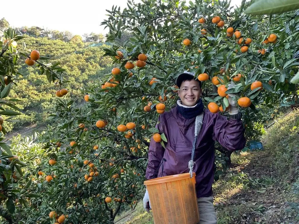 和歌山県産 有田みかん 5kg