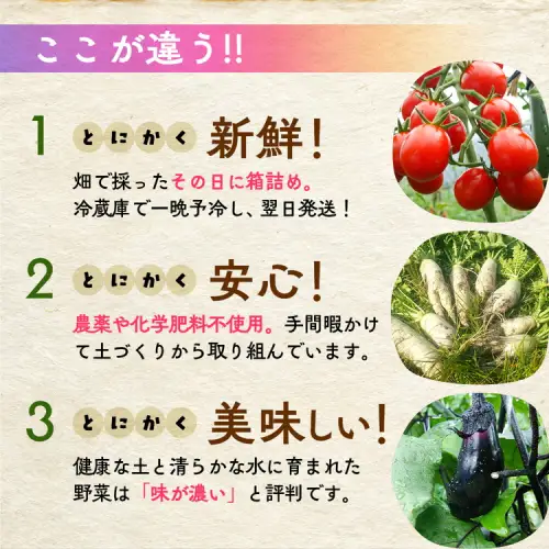 【12回定期便】旬の京野菜セットＳ 野菜【アスカ有機農園】