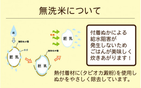 [051-a003] 無洗米 コシヒカリ 5kg