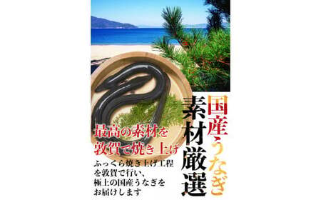 [001-a009] 国産うなぎ蒲焼き2尾セット