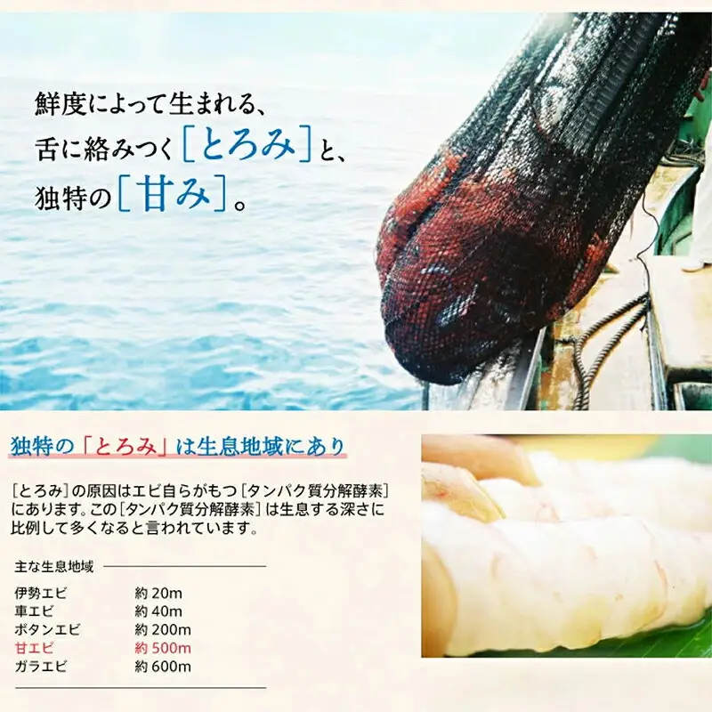 越前 甘えび 小サイズ 500g × 2パック [001-a020(20)]