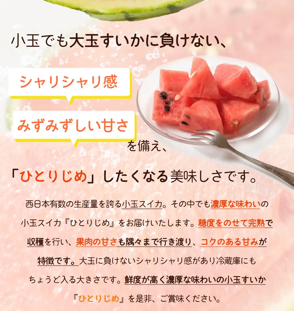 すいか 紀州和歌山産 小玉スイカ「ひとりじめ」2玉 ※2027年5月下旬頃?6月下旬頃順次発送予定【uot779C】