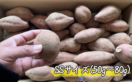 【  新物  】 まなつか農園の 種子島 安納いも  (生いも) SSサイズ 6kg　NFN550 【300pt】