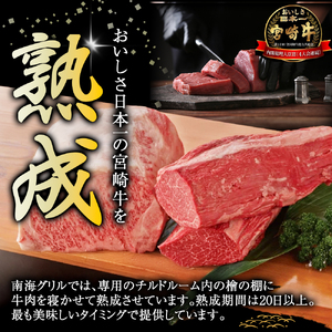 【人気鉄板焼き店厳選】熟成宮崎牛A4等級霜降り・赤身焼肉食べ比べセット　オリジナルソース付き（国産 牛肉 黒毛和牛 宮崎牛 焼肉 すき焼き 赤身 霜降り 特製タレ付き） 焼肉 和牛焼肉 牛肉焼肉 赤身焼肉 国産焼肉