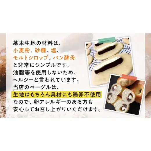 ベーグル 専門店 12個 おすすめ セット 【 全3回 隔月定期便】《 種類おまかせ 》