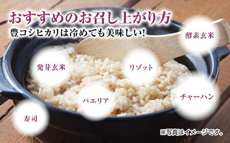 栽培期間中農薬不使用 令和6年産 豊コシヒカリ 玄米 10kg /鶴ノ原北川農園 [UDL016] 米 お米 こめ 玄米 ブランド米