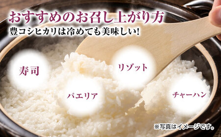 栽培期間中農薬不使用 令和6年産 豊コシヒカリ 精米 無洗米 10kg /鶴ノ原北川農園 [UDL019] 白米 米 お米 こめ 白米 精米 ブランド米