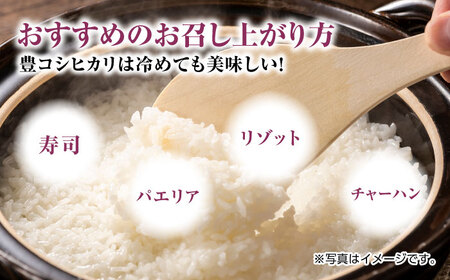 栽培期間中農薬不使用 令和6年産 豊コシヒカリ 精米 無洗米 20kg /鶴ノ原北川農園 [UDL020] 白米 米 お米 こめ 白米 精米 ブランド米