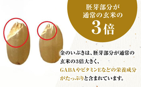 栽培期間中農薬不使用 令和6年産 金のいぶき 玄米 5kg /鶴ノ原北川農園 [UDL021] 米 お米 こめ 玄米 ブランド米