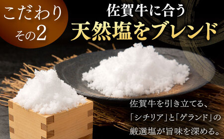 佐が家 佐賀牛100% ハンバーグ 140g×4個 / 佐賀県 / 株式会社ナチュラルフーズ [41AFAB004]