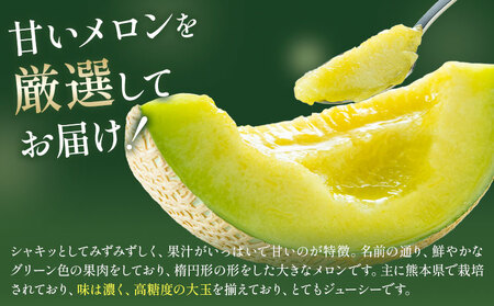 【先行予約】肥後グリーンメロン 2玉 2L以上 くまモン箱【メロンドーム】 有限会社七城町特産品センター熊本県 菊池市 メロン グリーンメロン 果物 フルーツ 熊本県産 送料無料
