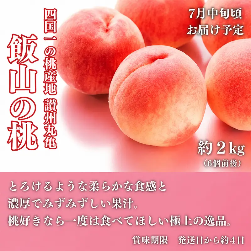 フルーツ定期便 3回 フルーツ いちご もも シャインマスカット