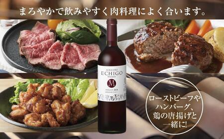 無地熨斗 越後ワイン メルロー 赤 750ml 2本セット アグリコア  越後ワイナリー  南魚沼市産メルロー使用 辛口 ミディアムボディ 度数12% 国産ワイン 魚沼ワイン わいん 送料無料 新潟県 南魚沼市