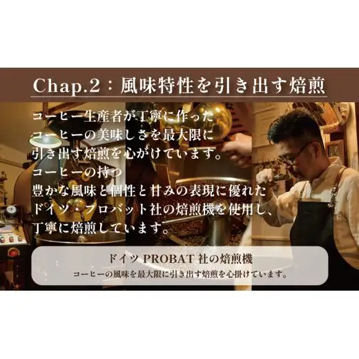 COFFEA EXLIBRIS スペシャルティコーヒー 250ｇ×4種セット　【コーヒー豆】
