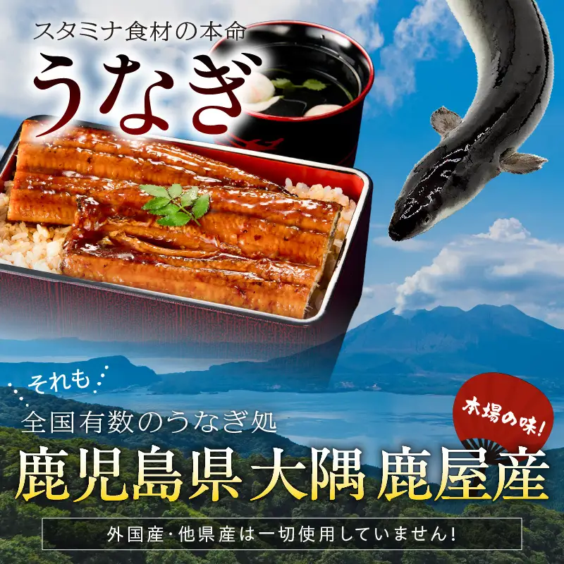  2127 鹿児島県産 きざみ うなぎ蒲焼 5袋 KN058-001-01 魚 冷凍 鰻