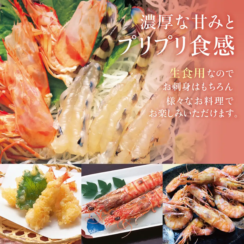 【鹿児島県産】活〆 冷凍車海老 300g（生食用） えび クルマエビ 車えび 海鮮 海産物 刺身 寿司 天ぷら 塩焼き エビフライ 急速冷凍 冷凍 鹿児島 坊津 南さつま市