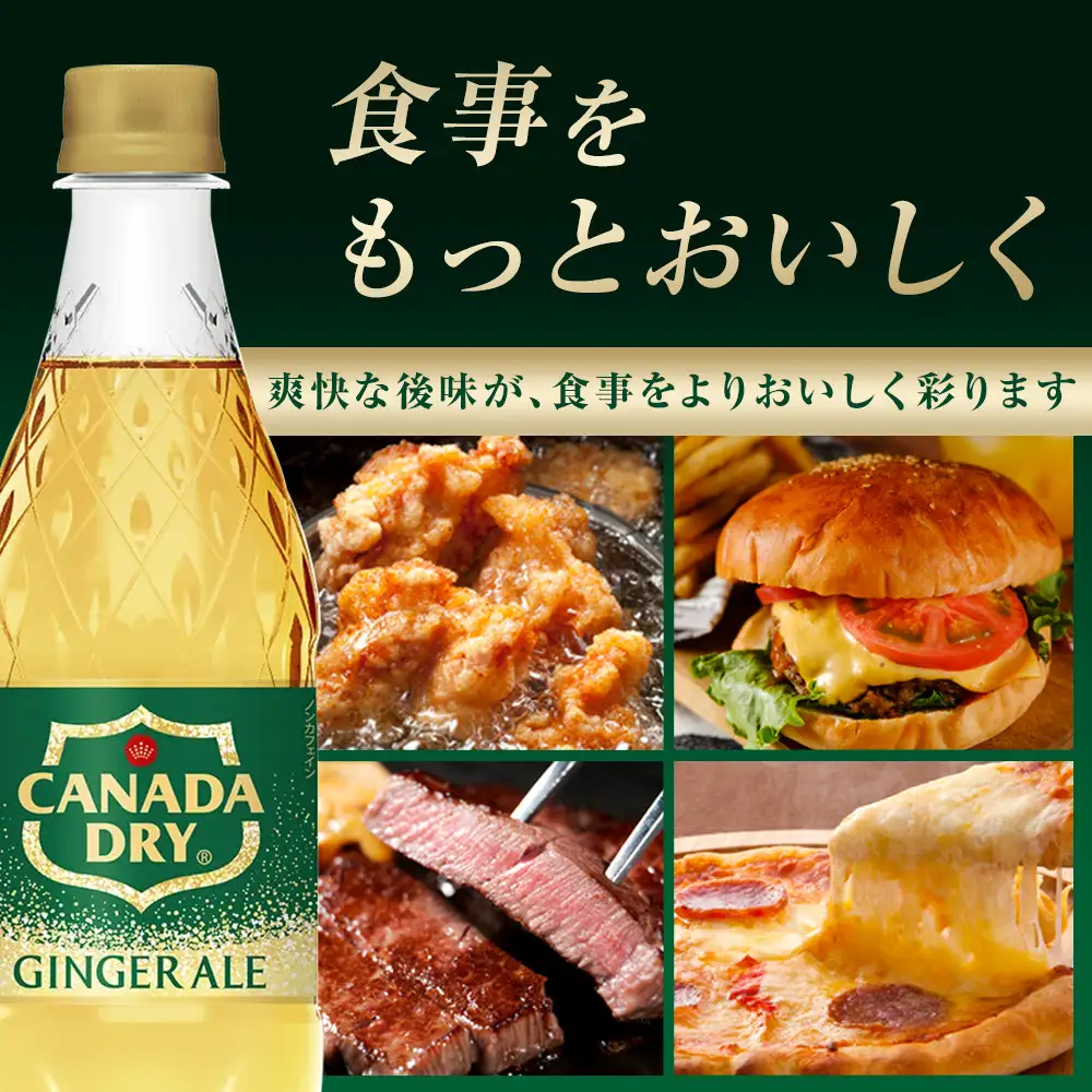カナダドライ ジンジャーエール 500mlPET×24本×2箱　【11100-0570】リフレッシュ 炭酸飲料 ケース 箱買い まとめ買い 備蓄 飲料 ソフトドリンク ギフト ふるさと納税 さいたま市 常備 差し入れ 景品 詰め合わせ 炭酸 人気 子供 おすすめ シャンディガフ 刺激 気分爽快 料理 