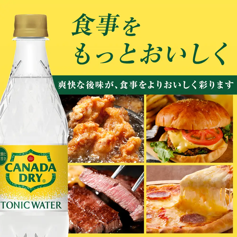 カナダドライ トニックウォーター 500mlPET×24本×3箱　【11100-0574】炭酸 無糖 ほどよい苦味 シトラス 割りもの 大人 ケース 箱買い まとめ買い 備蓄 飲料 ソフトドリンク ギフト ふるさと納税 さいたま市 常備 差し入れ 景品 人気 おすすめ